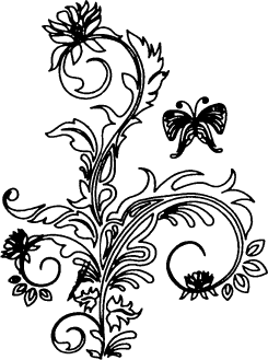 flower.png flower.png