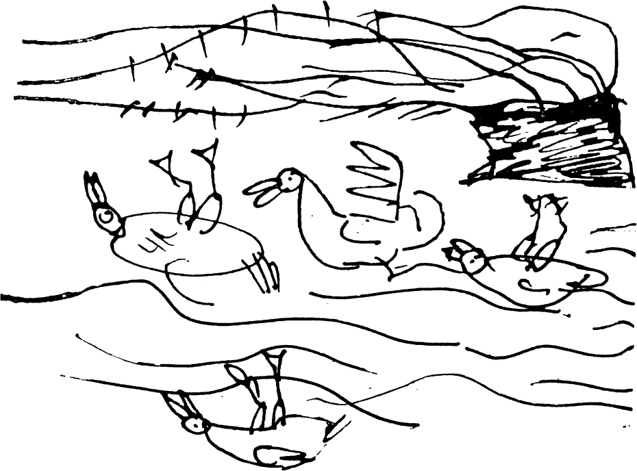 ducks.png ducks.png
