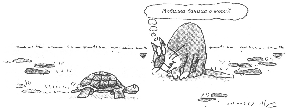 kostenurka.jpg kostenurka.jpg