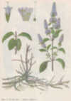 Прилож. 12
