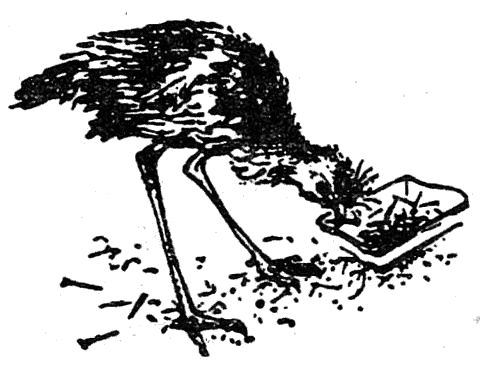 pianata_gora_15.png pianata_gora_15.png