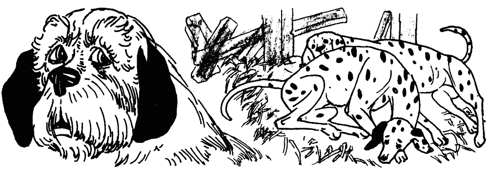 101-dalmatians-24.png 101-dalmatians-24.png