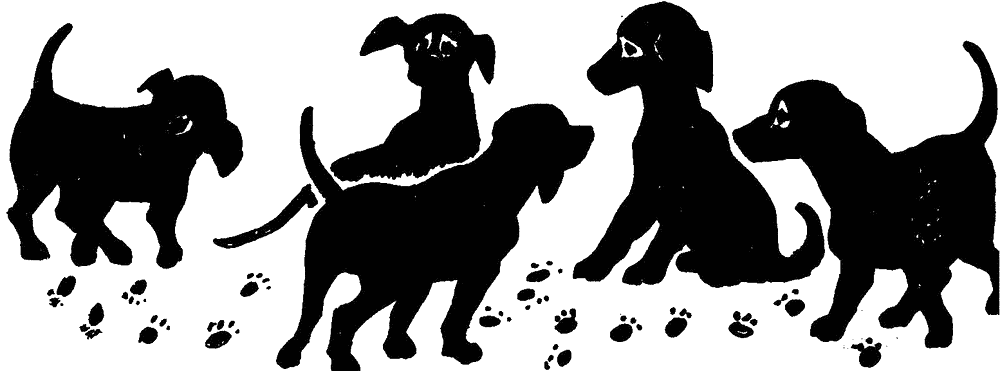 101-dalmatians-33.png 101-dalmatians-33.png