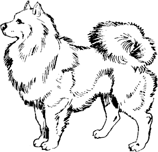 ledeno_bezmalvie_7.png ledeno_bezmalvie_7.png
