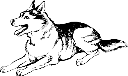 ledeno_bezmalvie_8.png ledeno_bezmalvie_8.png