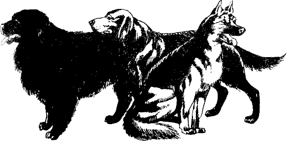 ledeno_bezmalvie_9.png ledeno_bezmalvie_9.png