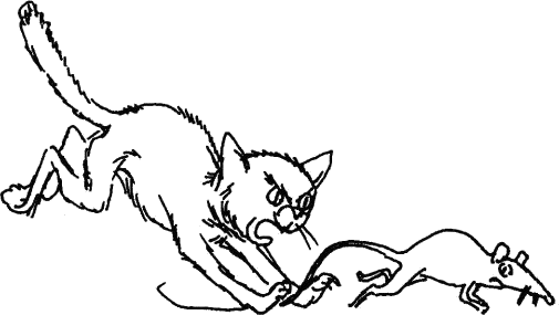 manshon_poluobuvka_i_myhesta_brada_lov.png manshon_poluobuvka_i_myhesta_brada_lov.png