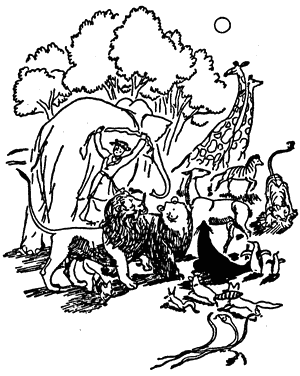 meri_popinz_zoopark.png meri_popinz_zoopark.png
