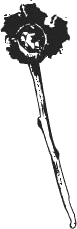 sfinks_17.png sfinks_17.png