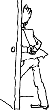 gena_34.png gena_34.png