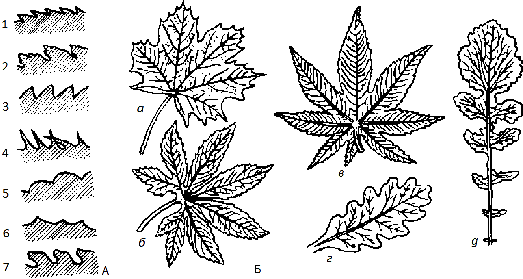 Фиг. 3 fig3.png