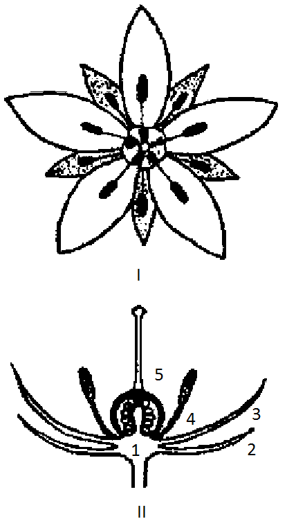 Фиг. 6 fig6.png