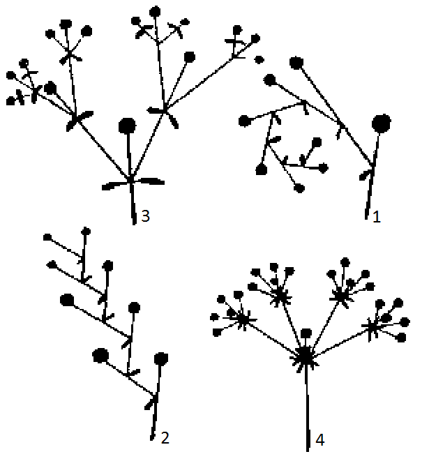 Фиг. 8 fig8.png