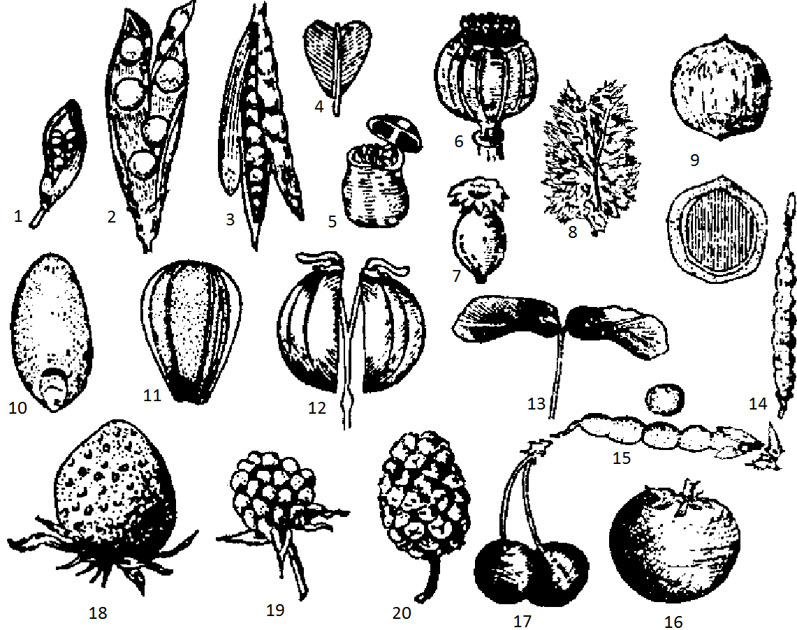 Фиг. 9 fig9.png