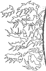 ritmatistyt_tebeshircheta_17.png ritmatistyt_tebeshircheta_17.png