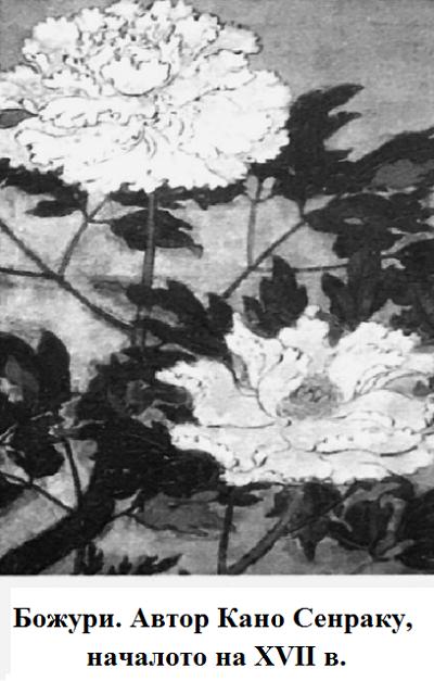 67_bojuri_senraku.jpg 67_bojuri_senraku.jpg