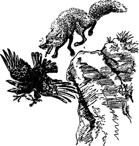 Лисицата, птичката и гарванът Лисицата, птичката и гарванът