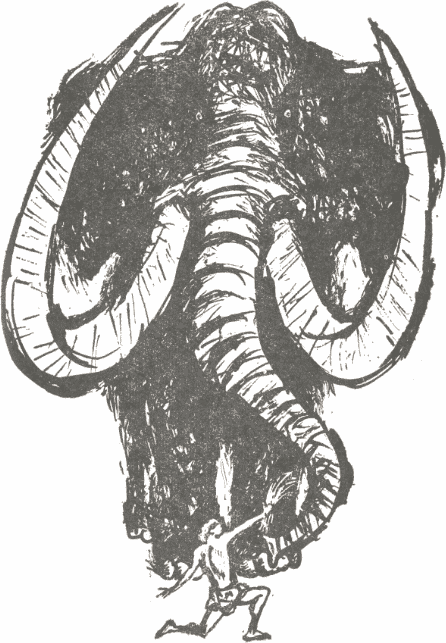 mamut.png mamut.png