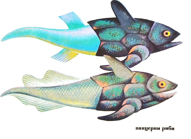 pincerns_fish.jpg pincerns_fish.jpg