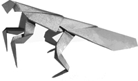 bogomolka.png bogomolka.png