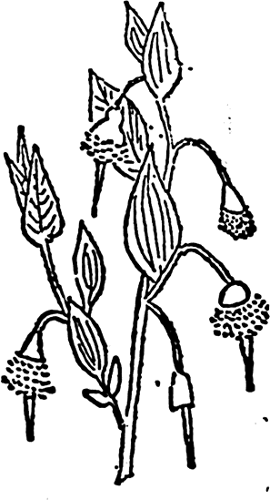 tistu_10.png tistu_10.png