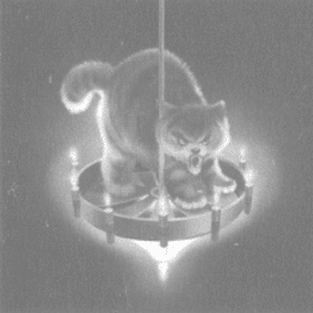 cat.png cat.png