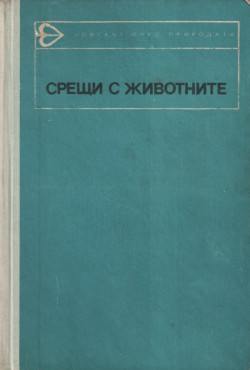 Корица